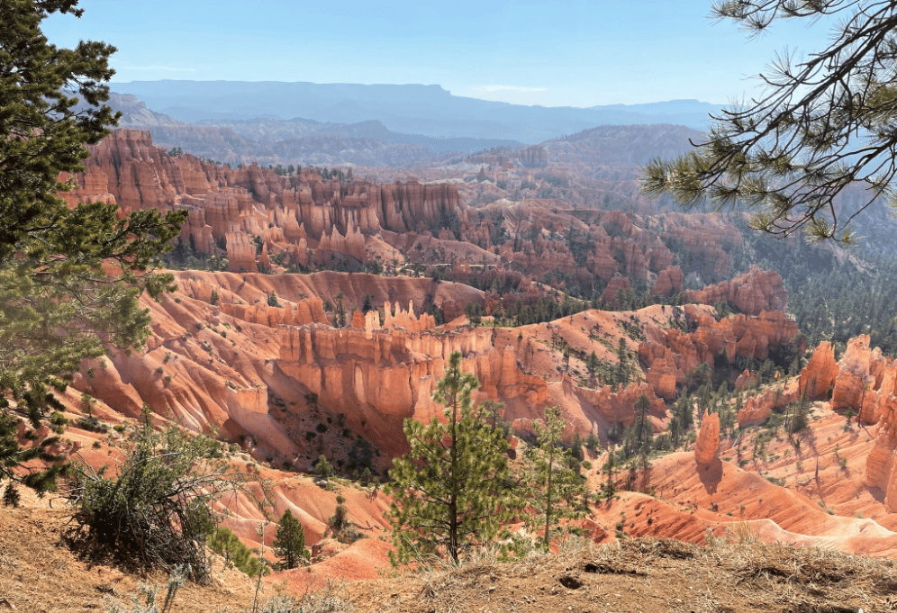 A sweeping view of the Bryce Amphitheater displaying the hoodoos at Bryce Canyon National Park.