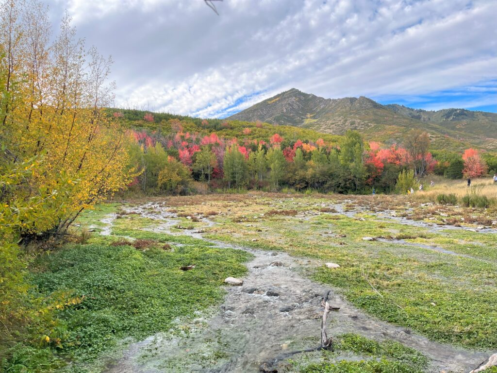 Utah fall colors at Cascade Springs Trail