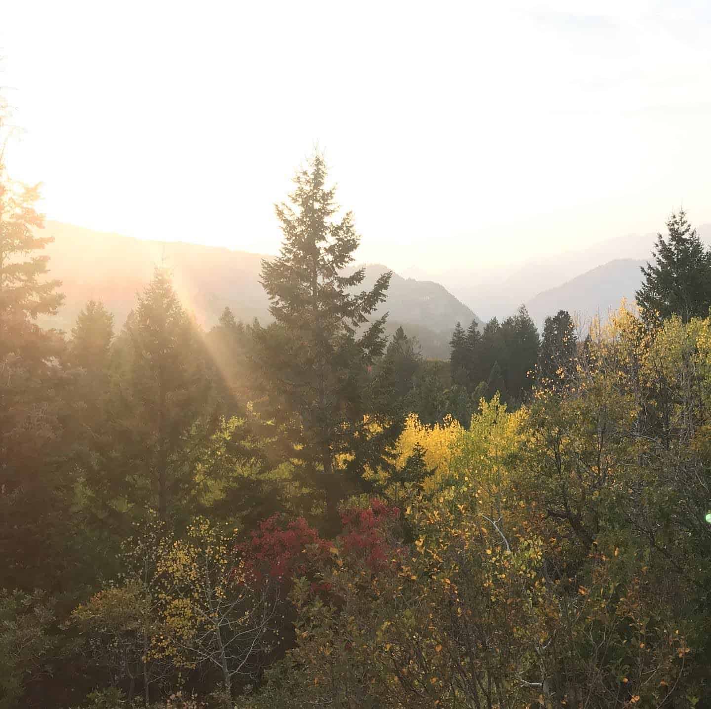 Beautiful Utah Fall Colors shown in Provo Canyon.