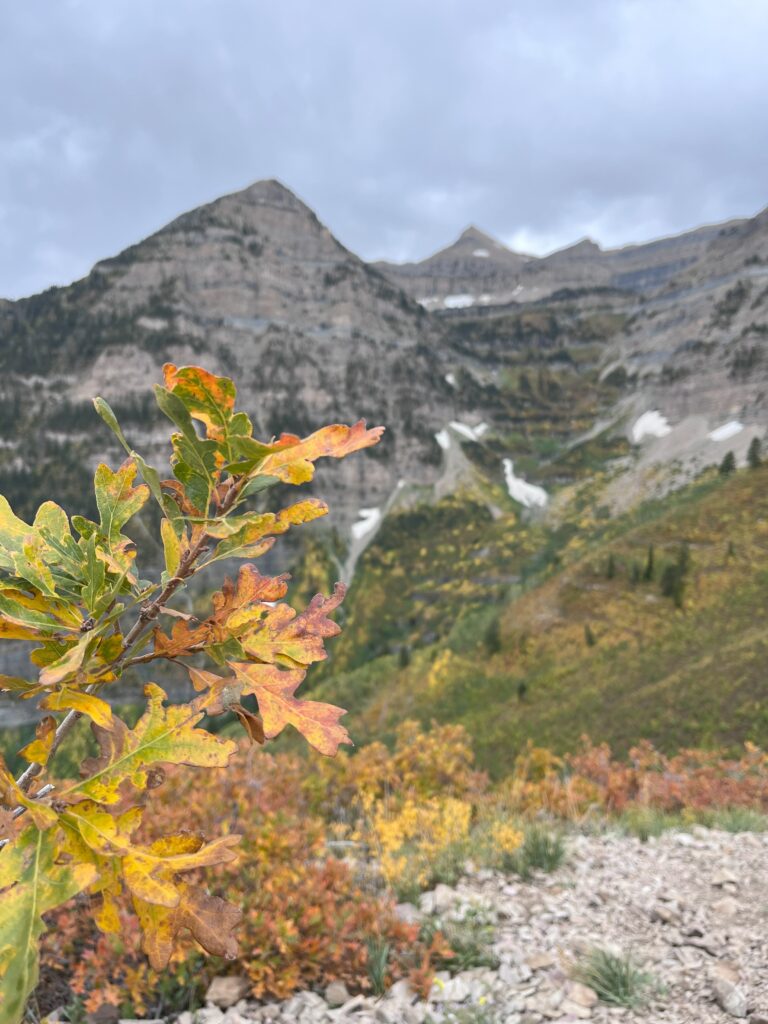 Primrose Overlook trail showing of Utah fall colors.
