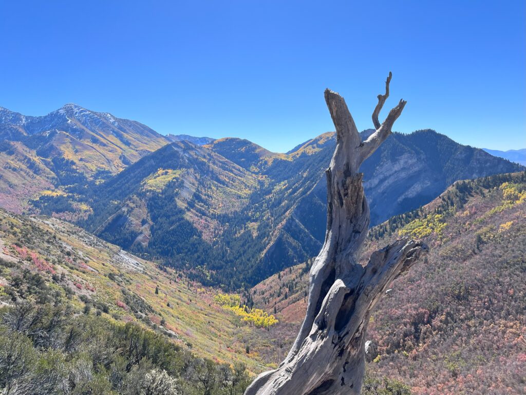 A view from Buffalo Peak trail in Provo Canyon.