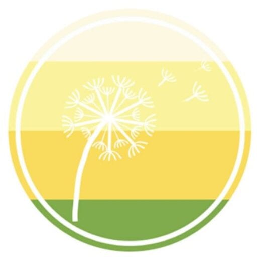 Far and Wide Outside's logo: a dandelion on a green and yellow gradient background.