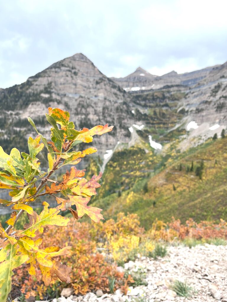 Hiking the Primrose trail in Provo Canyon in the fall. This is the cover image for Far and Wide Outside.