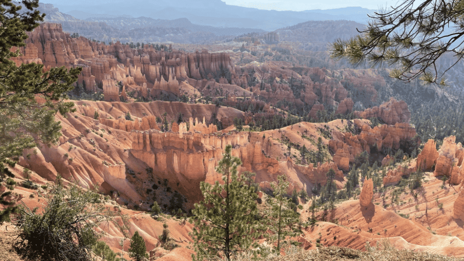 A sweeping view of the Amphitheater at Bryce Canyon National Park.