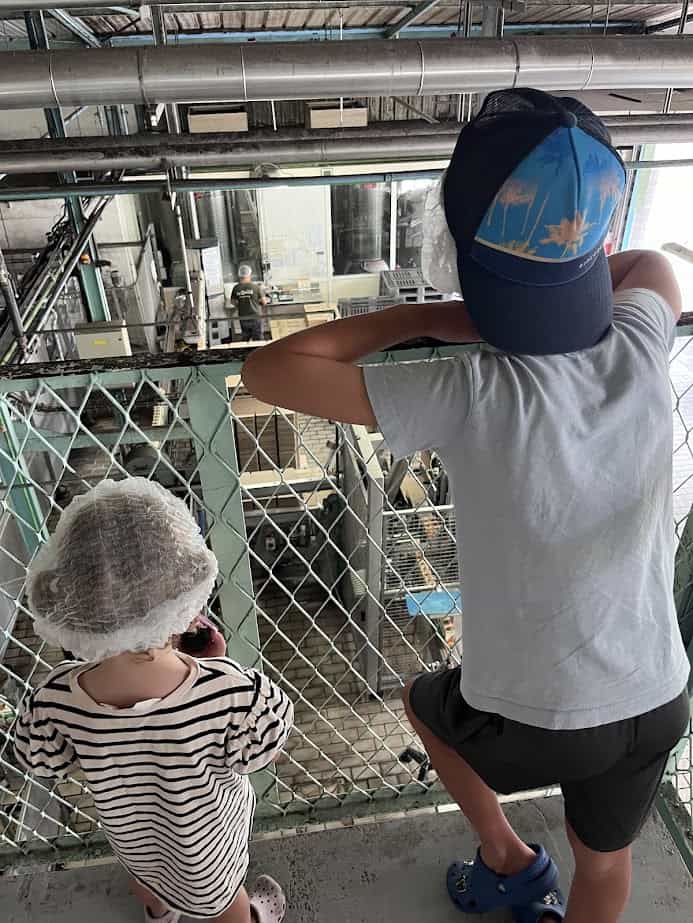 Two kids watching people work at the Rotui Juice Factory.